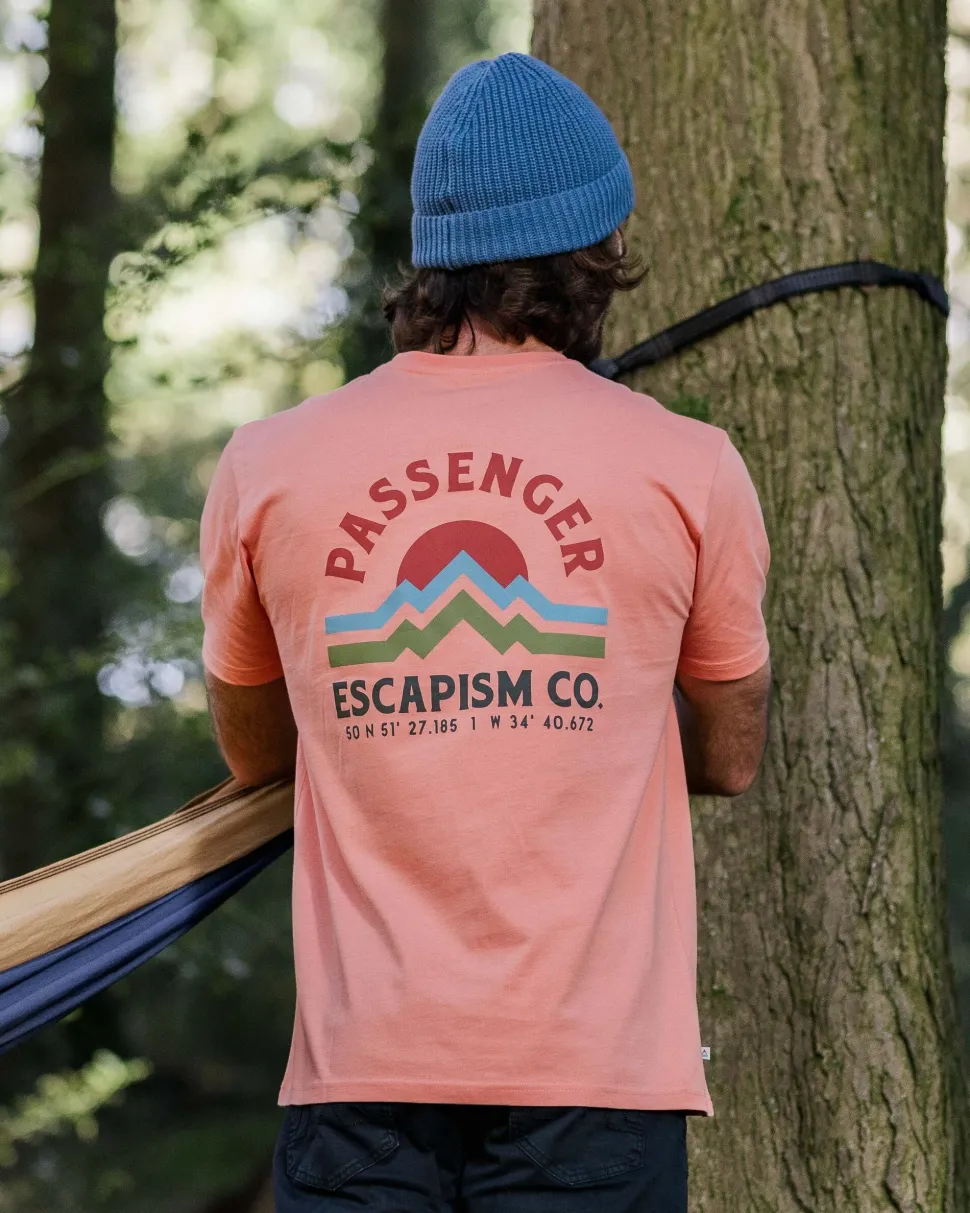 Dumont Organic Relaxed Fit T-Shirt